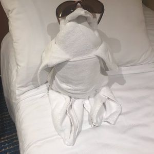 Meet your Posher, Betty